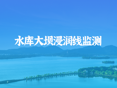 如何進行水庫大壩浸潤線監測?